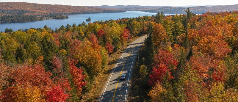 An autumn highway running through Canadian forest
